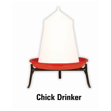 Chick Drinker