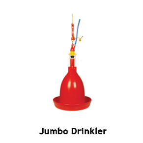 Jumbo Drinker