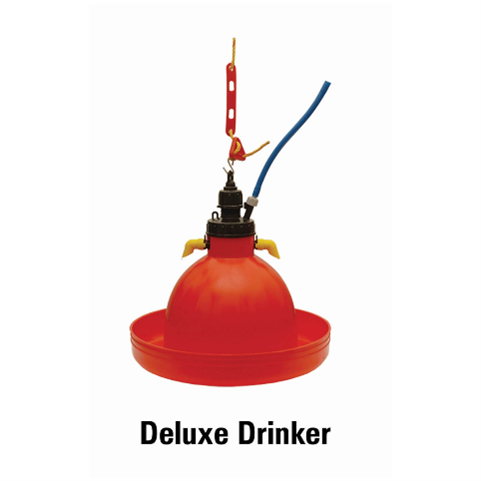 Deluxe Drinker