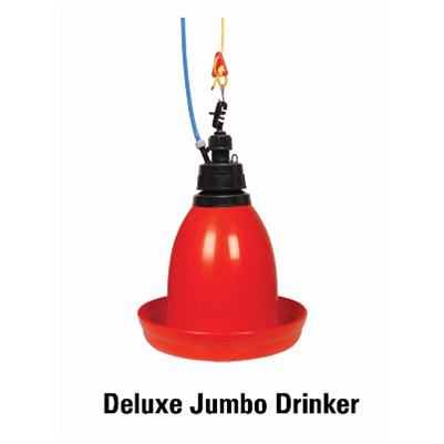 Deluxe Jumbo Drinker