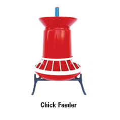 Chick Feeder